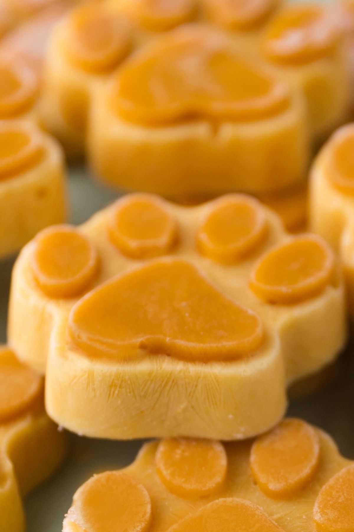 Pumpkin Paws: A Delicious and Nutritious Treat for Your Pooch